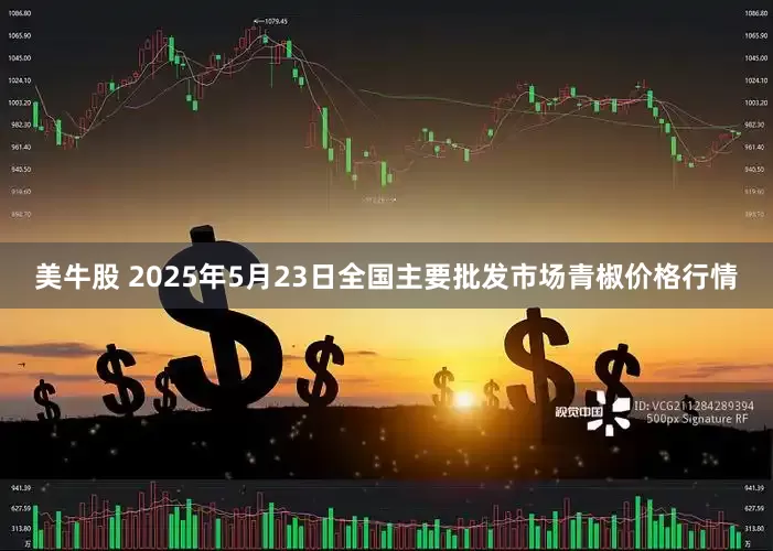 美牛股 2025年5月23日全国主要批发市场青椒价格行情